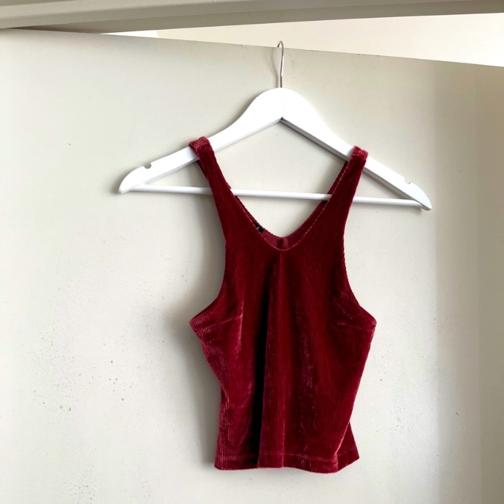 Urban Outfitters Burgundy Red Velvet Crop Top